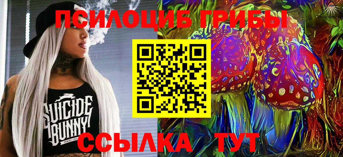 Галлюциногенные грибы мухоморы  Вход с VPN  Шатура 